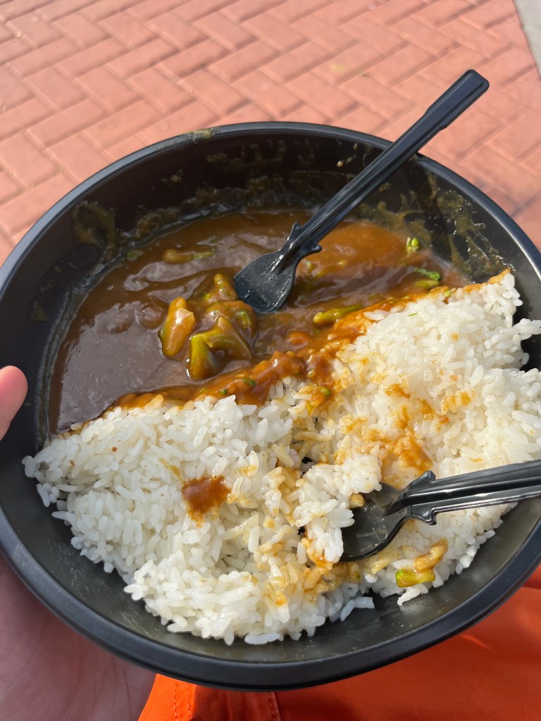 Chicken Cutlet Curry